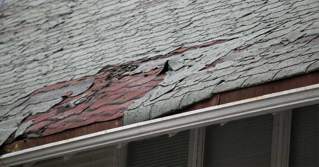 hail damage roof repair company