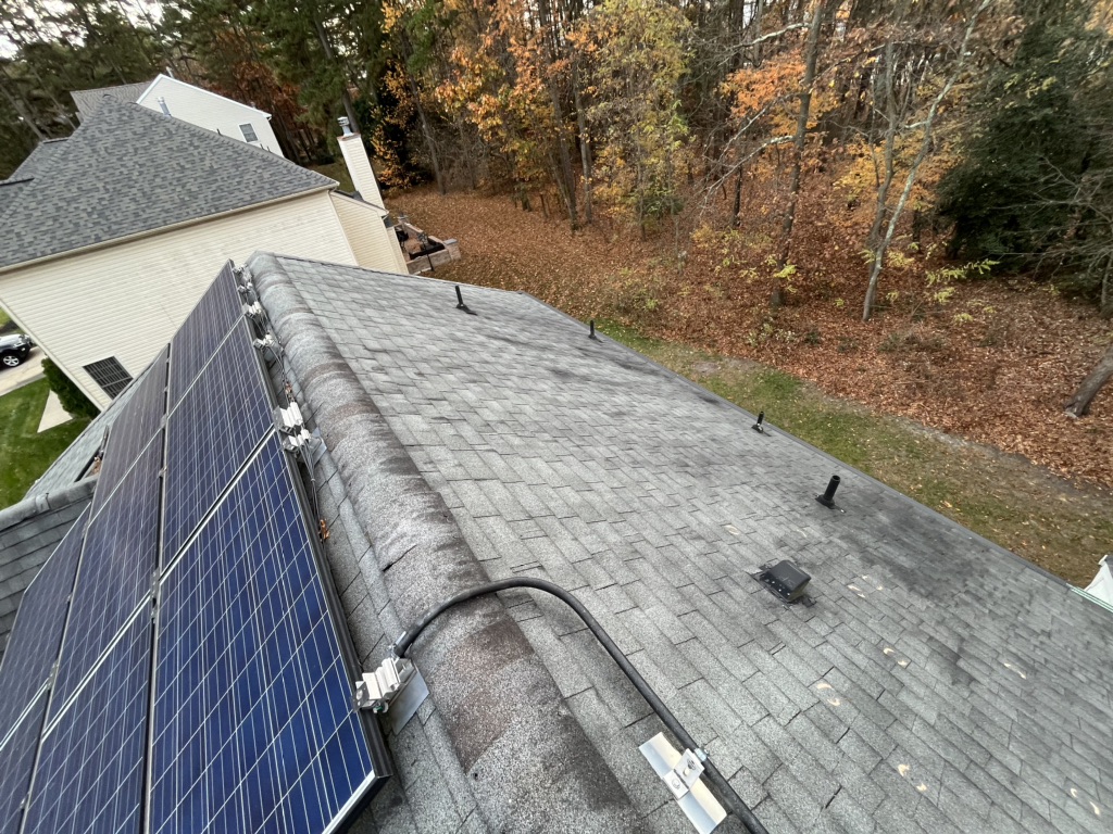 damaged shingles