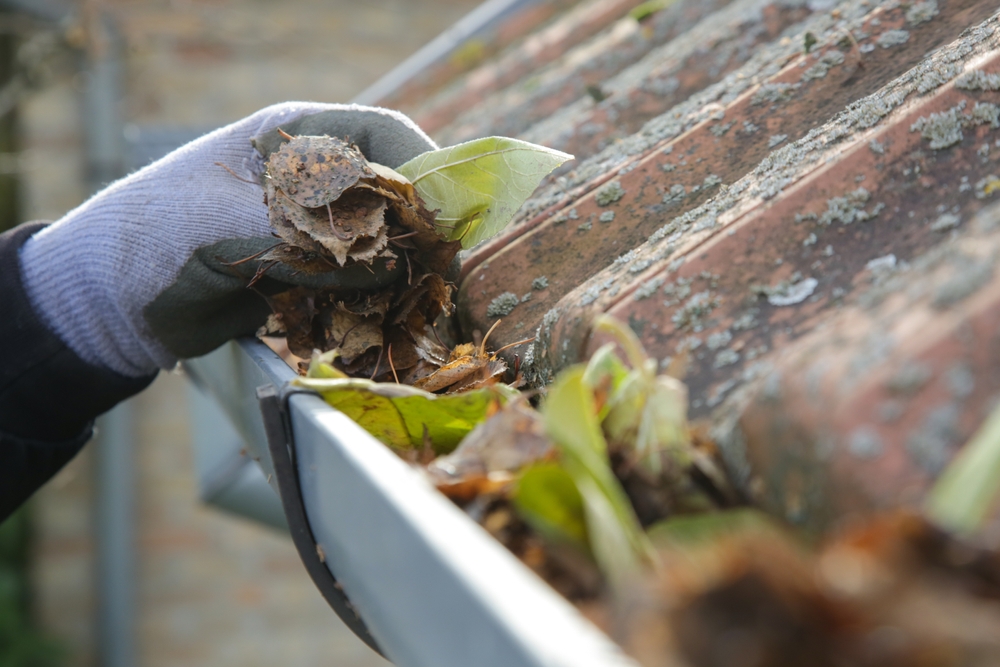 benefits of gutter cleaning